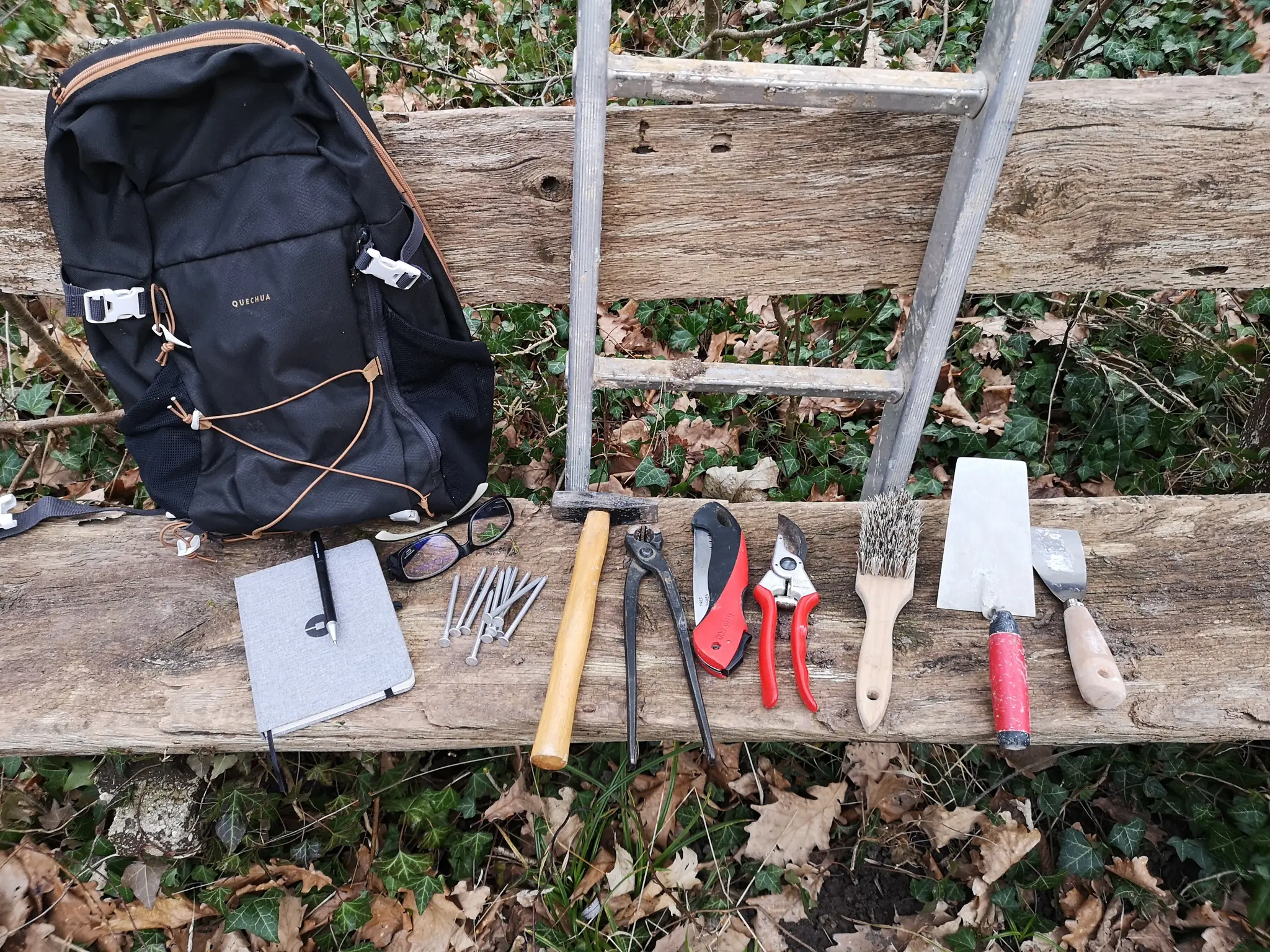 Tipps-zum-Reinigen-von-Nistk-sten