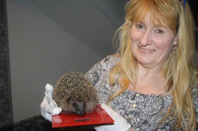Marianne Baier mit einem ihrer 15 Igel. | Foto: Hannelore Schäfer 