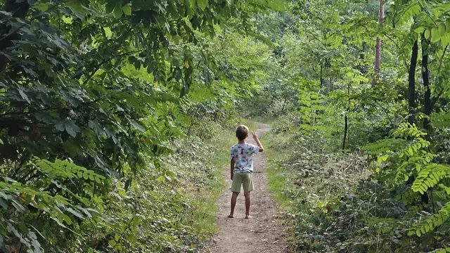 Stadt Neustadt baut Radweg zwischen Rothenbusch und Palatia-Radweg aus | Foto: Eva Bender