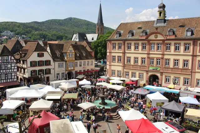 Verkaufsoffener Sonntag, Bauernmarkt, Weinprobe, Elwetritsche-Rennen, Pflanzen- und Blumenmarkt - große Ereignisse locken Besucher nach Neustadt. | Foto: Markus Pacher