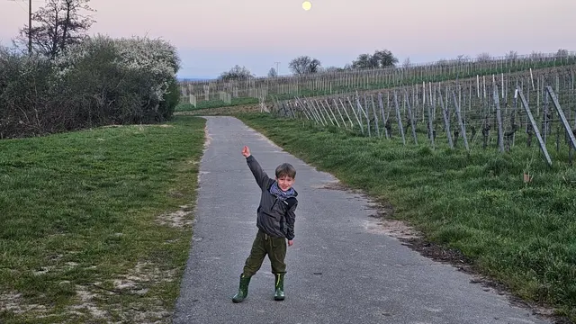 Vom Rebschnitt bis zur Weinlese: Kinder lernen Weinbau hautnah | Foto: Eva Bender