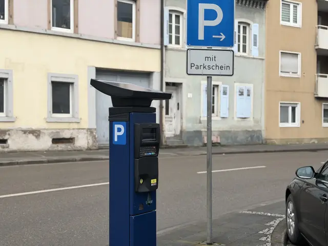 Parkscheinautomat am Europaring.  | Foto: Stadt Frankenthal