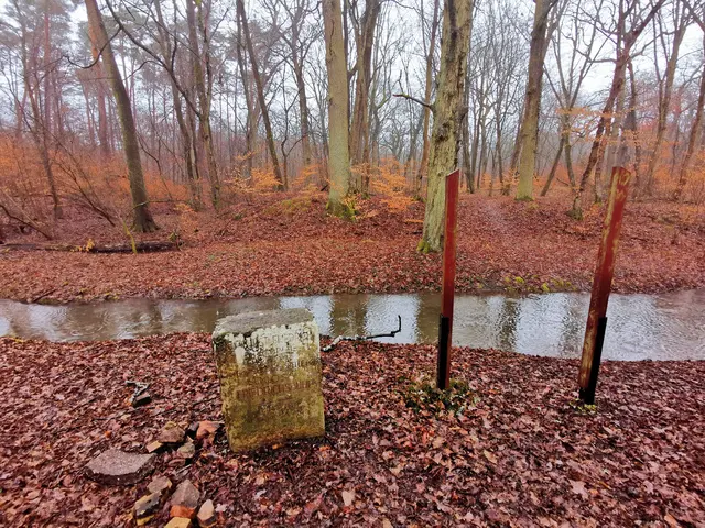Hier stand Schloss Friedrichsbühl - bis jetzt erinnerte nur ein Gedenkstein an den Standort | Foto: Heike Schwitalla