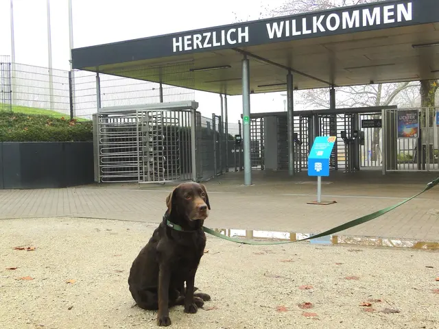 Heute ist mein Tag | Foto: Stadtpark Mannheim