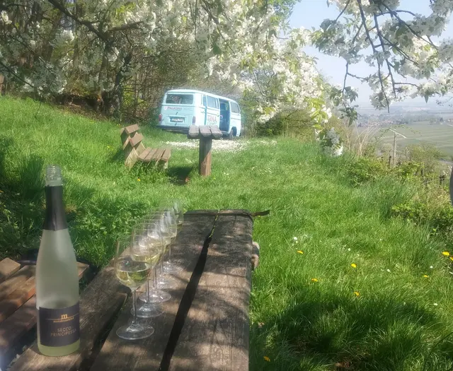 Foto: Palatina Events