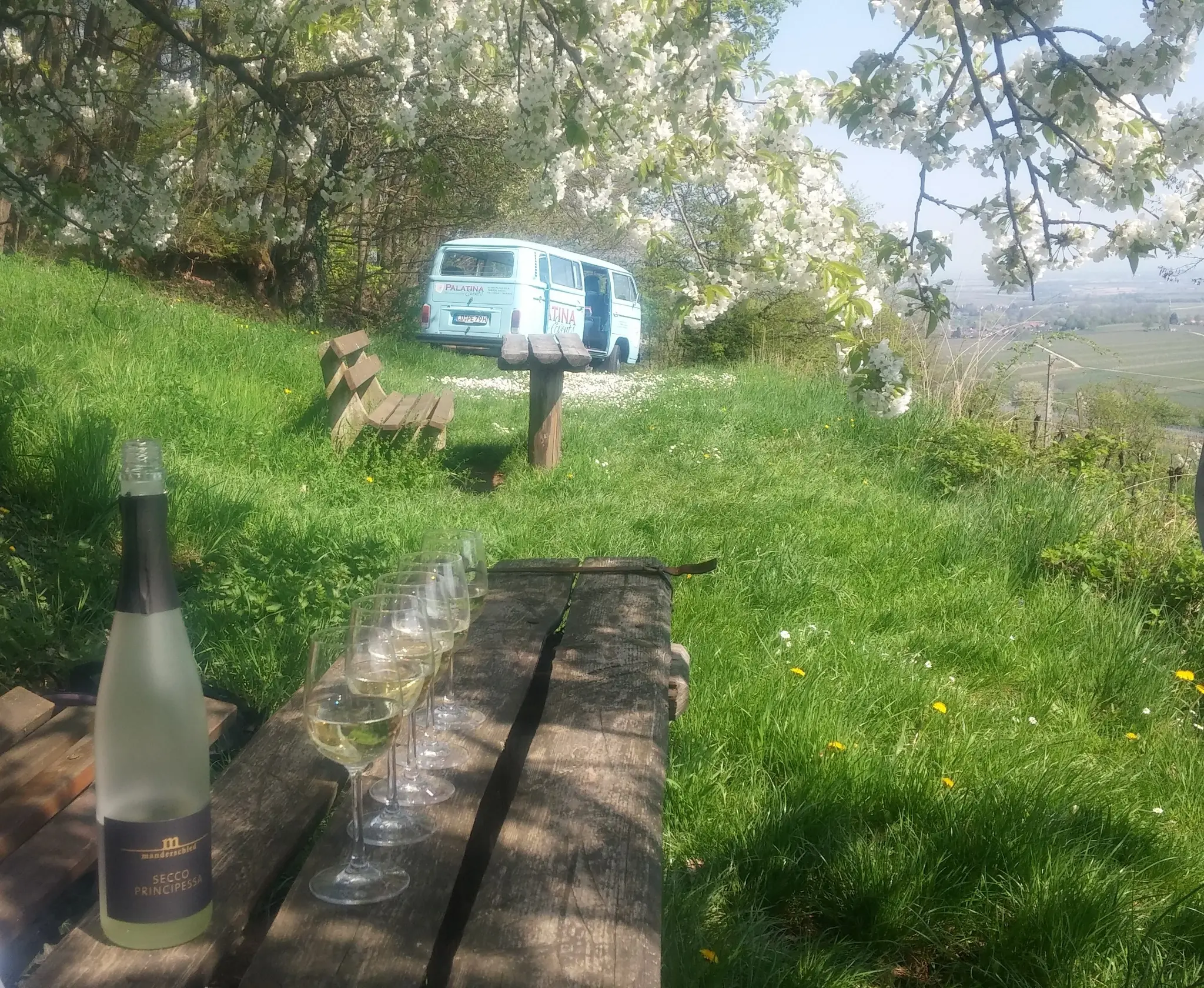 Neue-Genusstour-von-Palatina-Events