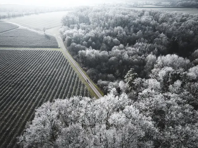 Einfach Raus und die Ruhe genießen. Eine perfekte Alternative in der Faschingszeit.  | Foto: Tourimia Tourismus GmbH | Stefan Leitner Photography