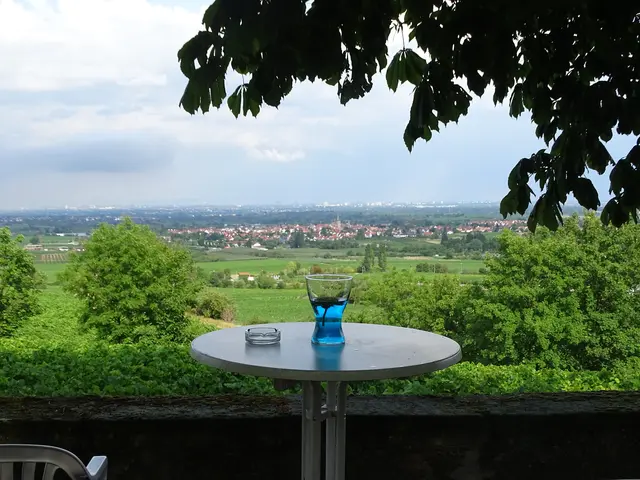 Blick vom ehemaligen Herxheimer Schlossgarten aus  | Foto: red/gratis