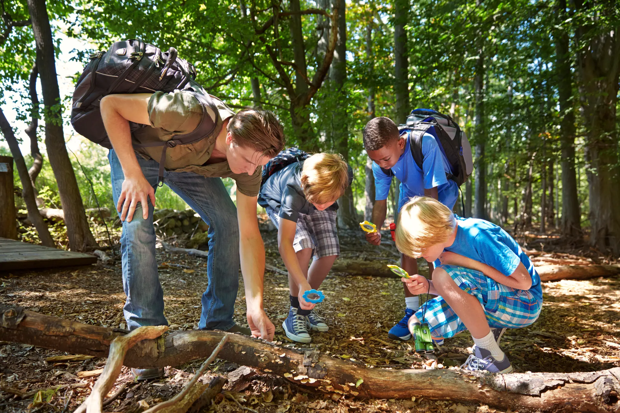 Unterricht-im-Wald-Die-Kurpfalzschule-wird-Walddetektiv-Schule
