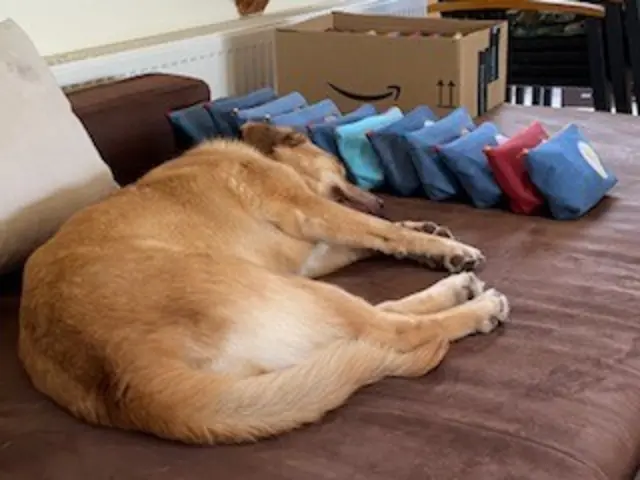 Aus alten Jeans wird neue Hoffnung: Eine kreative Nähaktion aus Lachen-Speyerdorf unterstützt Tiere in Ludwigshafen und Antalya. | Foto: Sabine Haase