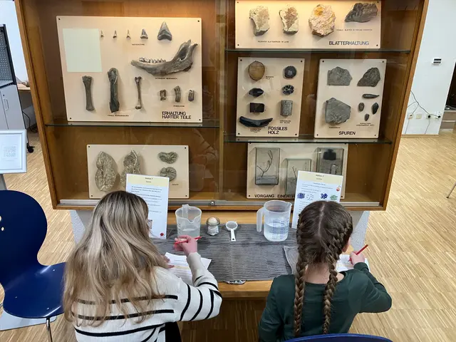 Foto: Gebrüder-Ullrich-Realschule plus Maikammer-Hambach