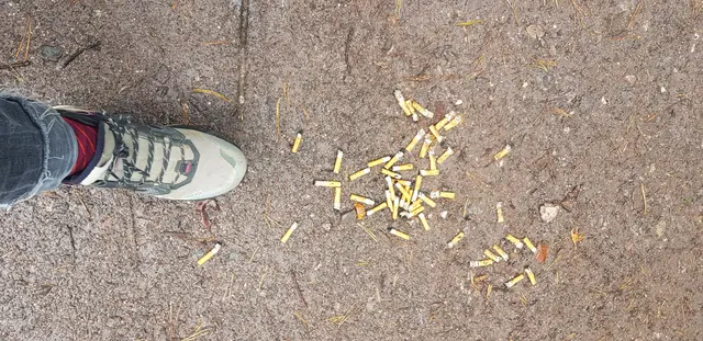 Ein Haufen achtlos entsorgter Zigarettenkippen im Wald – ein häufig unterschätztes Umweltproblem. (Parkplatz Hüttenhohl) | Foto: Eva Bender