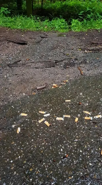 Aschenbecherinhalt direkt neben einem Bach (Totenkopfstraße Richtung Vier Buchen).  | Foto: Eva Bender