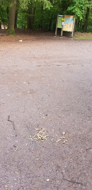 Parkplatz Hüttenhohl, Knotenpunkt für Biker und Wanderer - kein Sondermüll-Abladeplatz!  | Foto: Eva Bender
