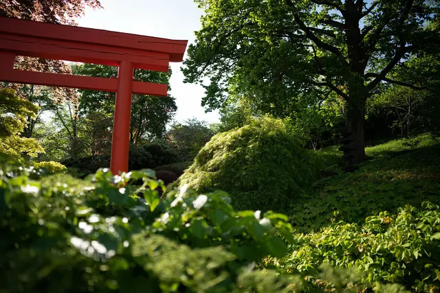 Die Türen des Japanischen Gartens öffnen sich ebenfalls bei einer der Kurzführungen | Foto: Appel/gratis
