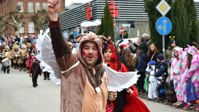 Dahner Fasnachtsumzug 2026 | Foto: Frank Schäfer