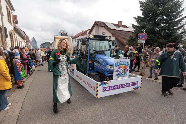  Fastnachtsumzug in Bellheim 2026 | Foto: Paul Needham