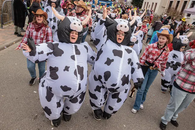  Faschingsumzug in Bellheim 2026 - bunt und fröhlich... und tierisch | Foto: Paul Needham
