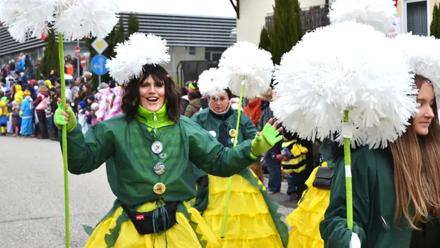 Dahner Fasnachtsumzug 2026 | Foto: Frank Schäfer