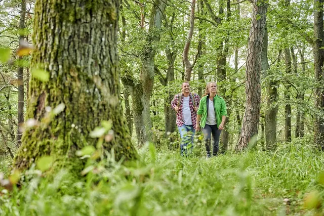 Wanderfreunde und Sportbegeisterte können gespannt sein auf eine abwechslungsreiche Tour durch das Wanderparadies der Donnersberg-Region | Foto: Donnersberg-Touristik-Verband/Florian Trykowski
