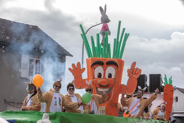 Fastnacht in Jockgrim 2026 -  gesund und knackig | Foto: Paul Needham