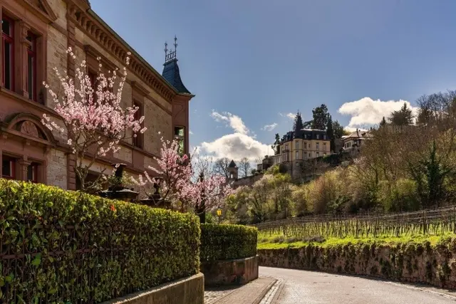 Vortrag im GDA Wohnstift: 770 Jahre Haardt im Rückblick | Foto: Gisela Gauweiler