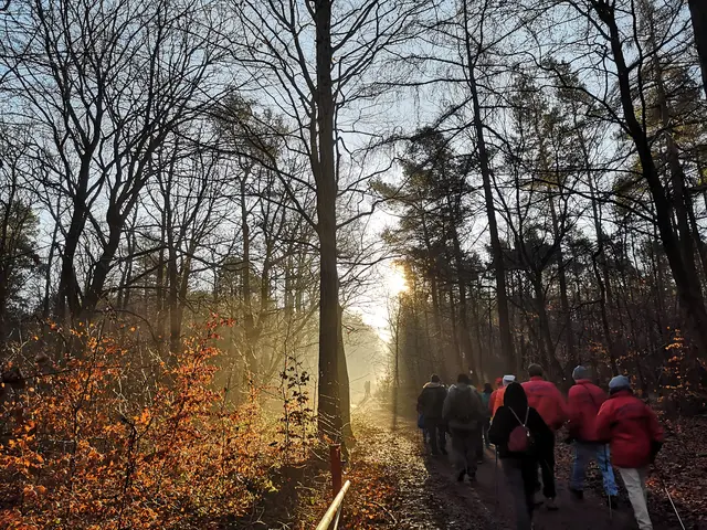 Wanderfreunde Wiesbachtal | Foto: Walter Fromkorth