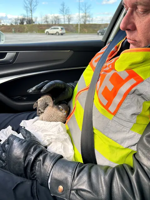 Vogel gerettet. | Foto: Polizei Ruchheim
