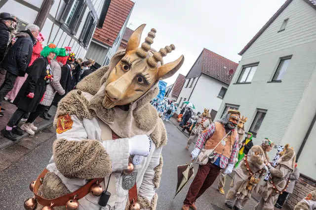 Hagenbach feiert Fastnacht 2026 | Foto: Paul Needham
