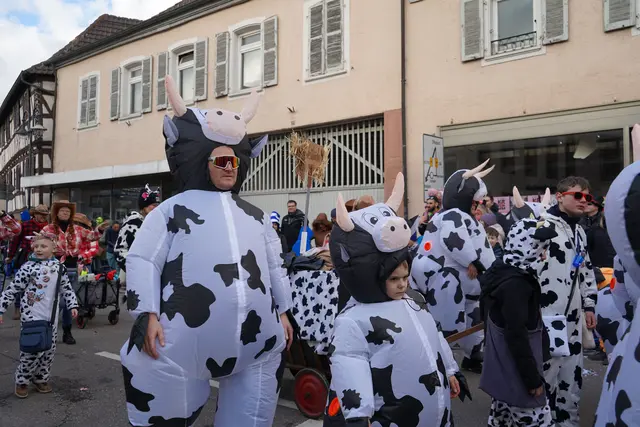 Foto: Katharina Wirth