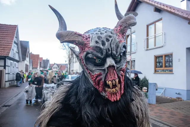 Faschingsumzug in Hagenbach 2026 - traditionell und modern, Hauptsache es macht Spaß | Foto: Paul Needham