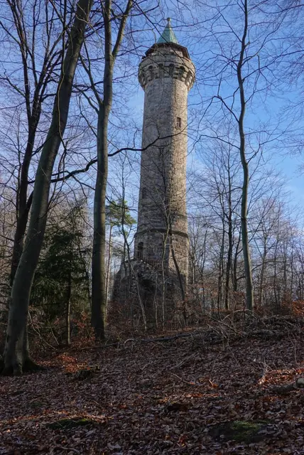 Im Schein der Fackeln führt der Weg am 7. März 2026 durch den Stadtwald hinauf zum Humbergturm | Foto: Ralf Vester