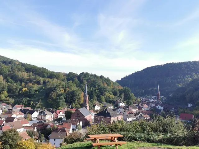 Ausblick vom Köpfel auf Weidenthal  | Foto: Thomas Mann