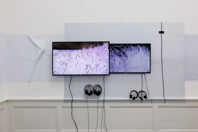 Ausstellungsansicht, Anna Barham: delirious mantra, Badischer Kunstverein, Karlsruhe 2026 | Foto: Felix Grünschloß