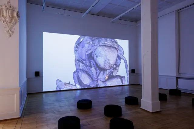 Ausstellungsansicht, Anna Barham: delirious mantra, Badischer Kunstverein, Karlsruhe 2026 | Foto: Felix Grünschloß