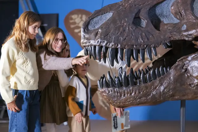 Blick in die Sonderausstellung „Saurier – Faszination Urzeit“ | Foto:  rem, Michelle Striegel 