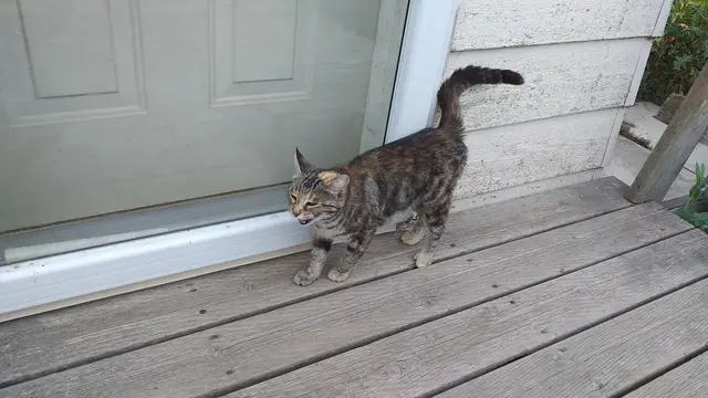 KATER-Frühstück | Foto: privat