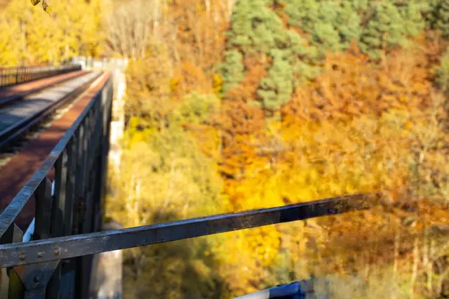 Eistalviadukt am Eiswoog | Foto: Ludwig R. Oppermann/gratis