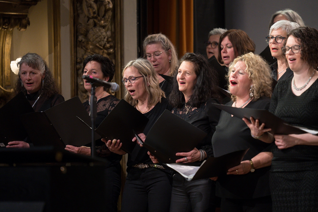 Bei den Tagen der Chor- und Orchestermusik 2026 in Kaiserslautern bildet die Lange Nacht der Musik das Herzstück. Die Innenstadt wird dabei zu einer Bühne mit elf Spielorten. Das Foto zeigt die Lange Nacht der Musik 2025 in Ravensburg | Foto: Marius Hartinger/gratis