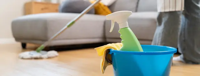 Schädliche Reinigungsmittel vergiften die Umwelt | Foto: Pormezz/stock.adobe.com