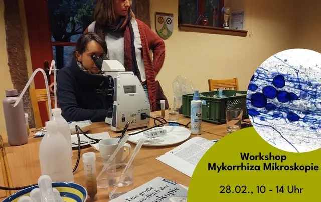 Boden-Mikroskopie-Workshop am Hengstbacherhof | Foto: Stiftung Lebensraum/gratis