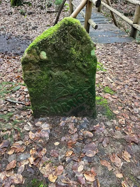 Saubrigg | Foto: Ich