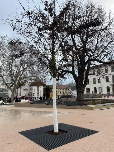 Foto: Laura Braunbach