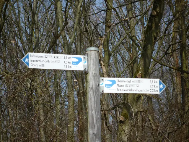 Hinweistafeln Pfälzer Höhenweg | Foto: Heinrich Schneider
