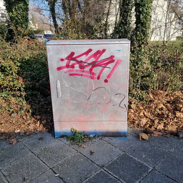 Foto: Stadtfüchse LU - Süd/Mundenheim