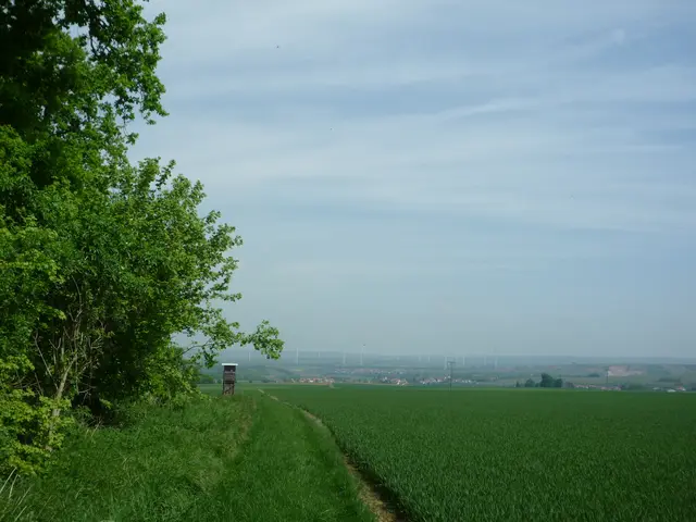 Ausblicke vom Pfälzer Höhenweg | Foto: Heinrich Schneider