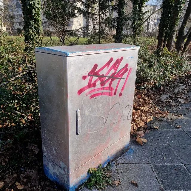 Foto: Stadtfüchse LU - Süd/Mundenheim