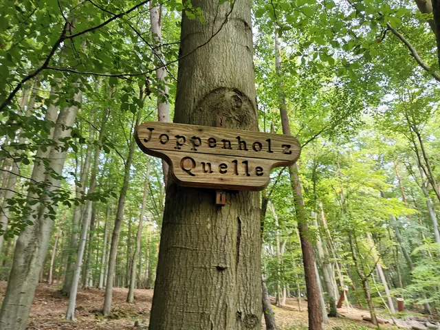 Hinweisschild zur Joppenholzquelle  | Foto: Thomas Mann