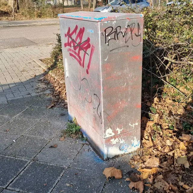Foto: Stadtfüchse LU - Süd/Mundenheim