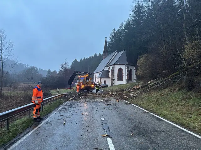 Witterungsbedingt stürzten mehrere Bäume um, wobei Teile der Bäume auf die Fahrbahn fielen | Foto: Polizeiinspektion Dahn